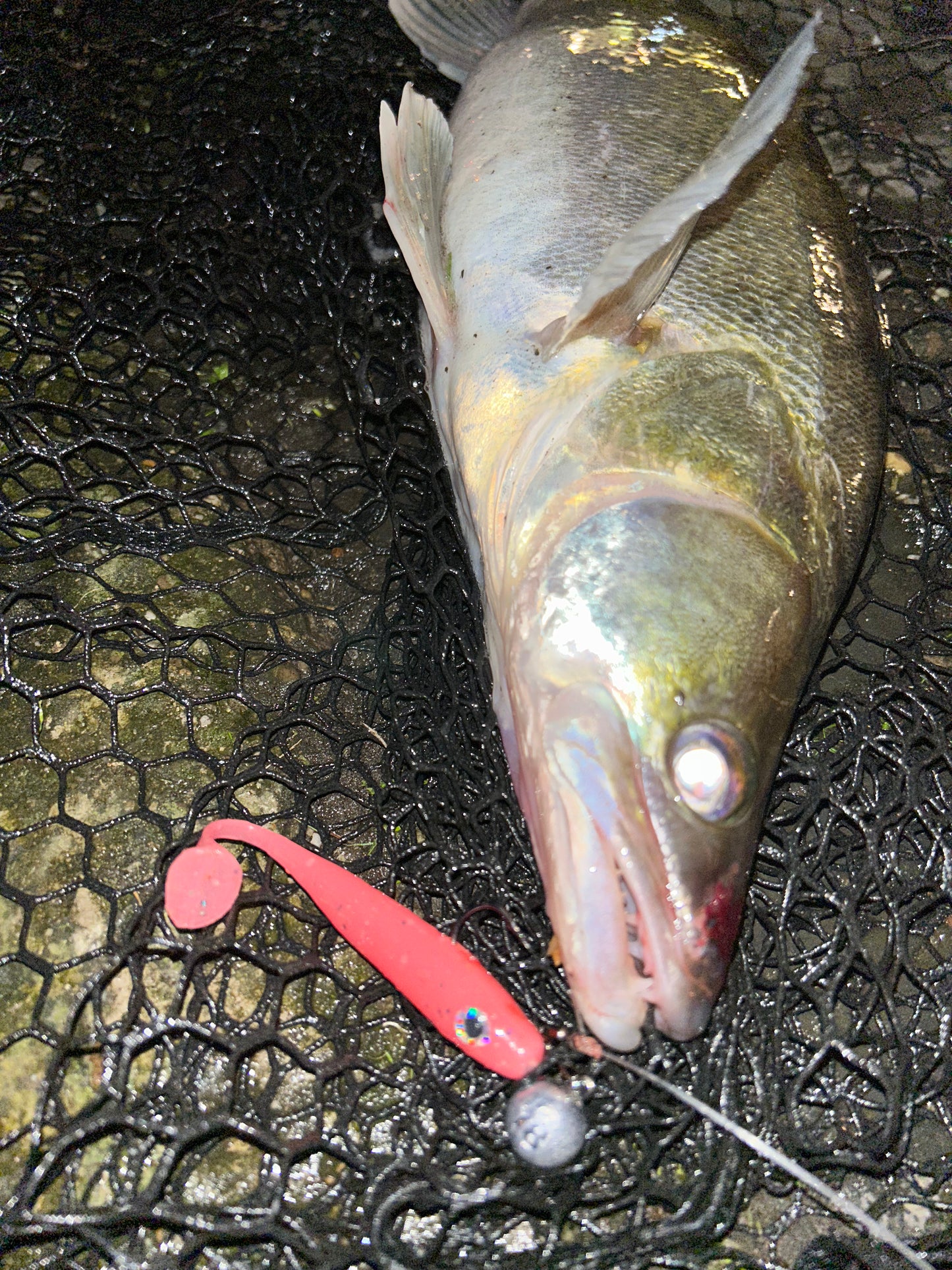 Nilan’s Shad 11cm