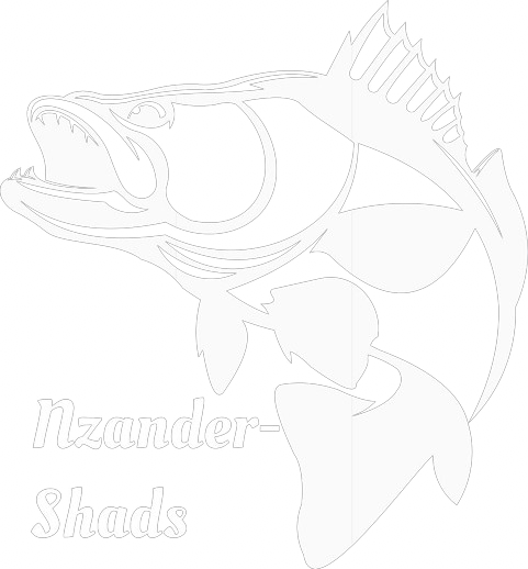 Nzander-Shads